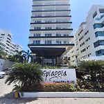 Morros Luxury Beachfront Infinity Pool